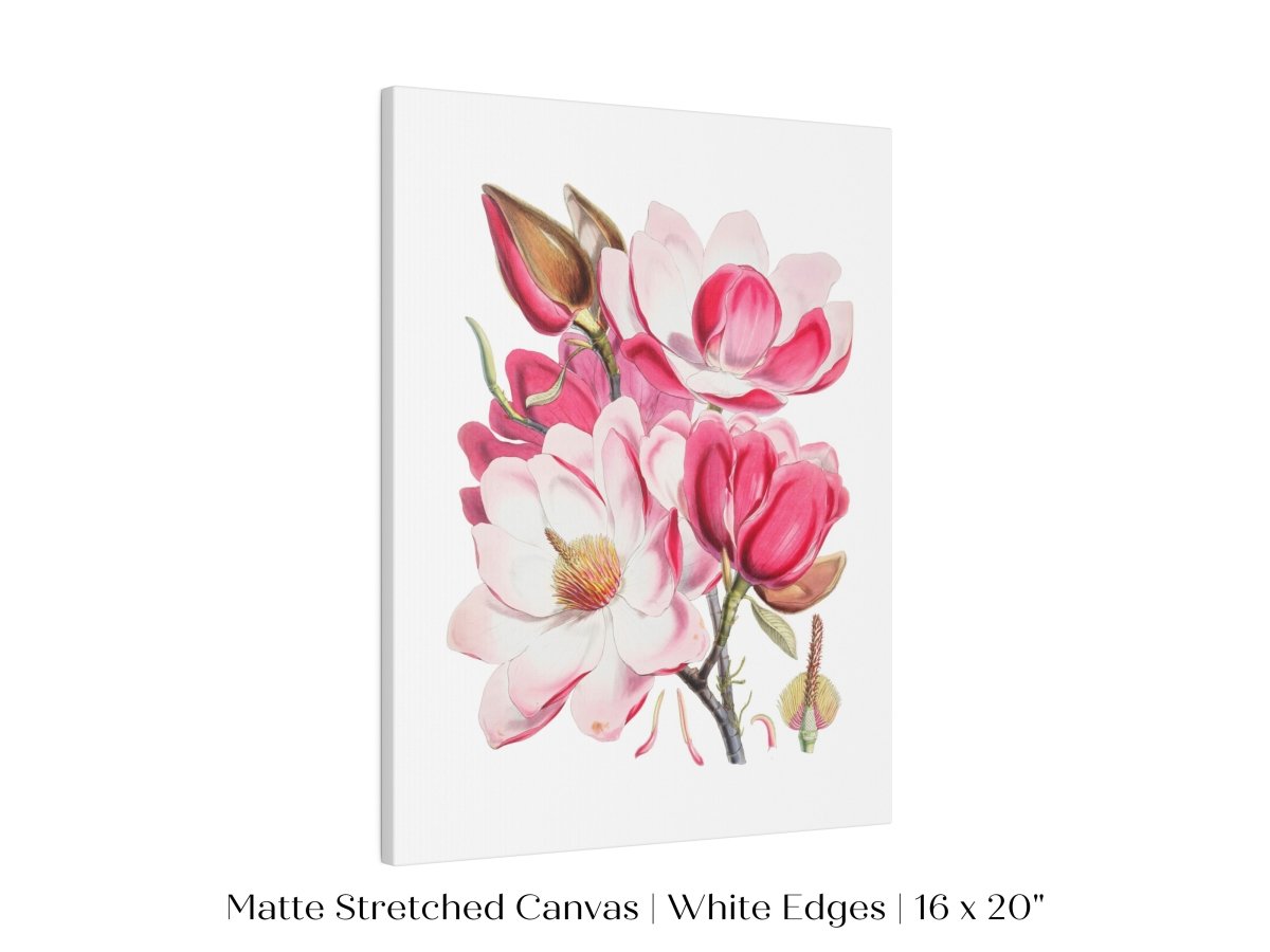 Bright Pink Magnolia Illustration | P47 - Single Art Prints - Piccolo Fiore Prints