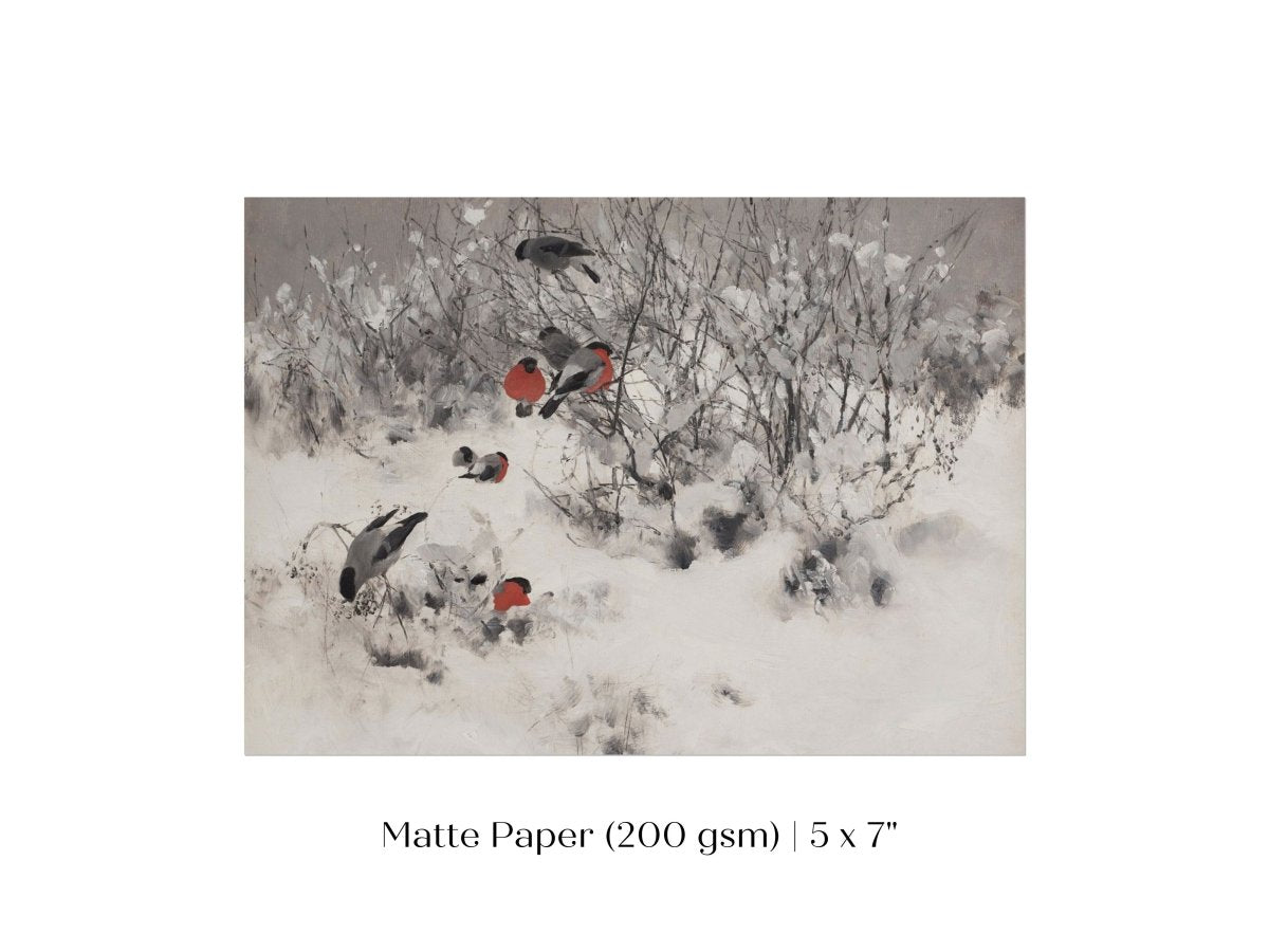 Bullfinches in the Snow | P443 - Single Art Prints - Piccolo Fiore Prints