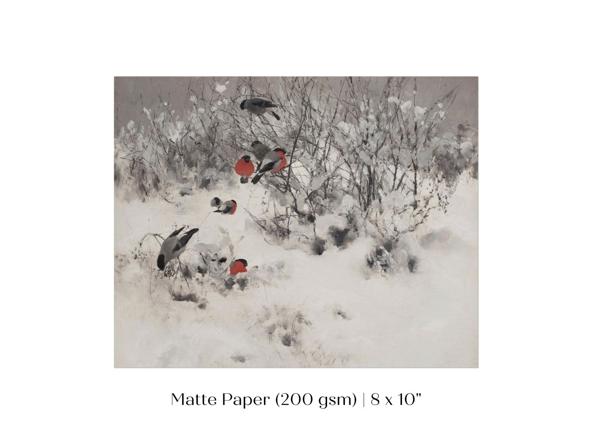 Bullfinches in the Snow | P443 - Single Art Prints - Piccolo Fiore Prints