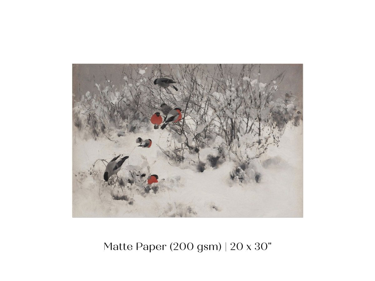 Bullfinches in the Snow | P443 - Single Art Prints - Piccolo Fiore Prints