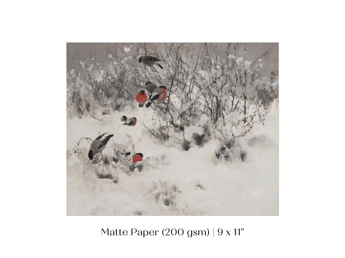 Bullfinches in the Snow | P443 - Single Art Prints - Piccolo Fiore Prints