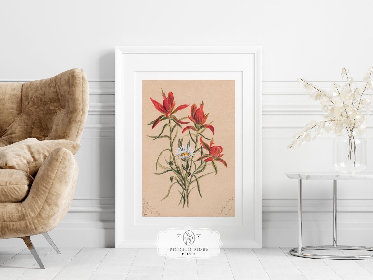 Burgundy Eclectic | Gallery Wall Set | 10 Prints | S10 - 7 - Gallery Wall Set - Piccolo Fiore Prints