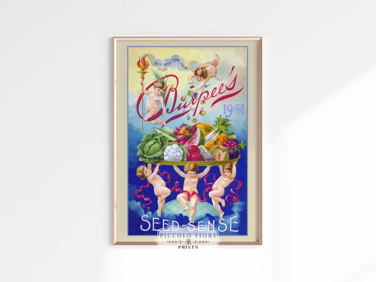 Burpee's Seed Sense | P504 - Single Art Prints - Piccolo Fiore Prints