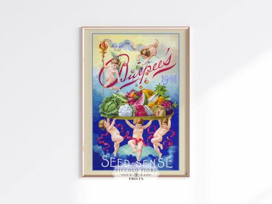 Burpee's Seed Sense | P504 - Single Art Prints - Piccolo Fiore Prints