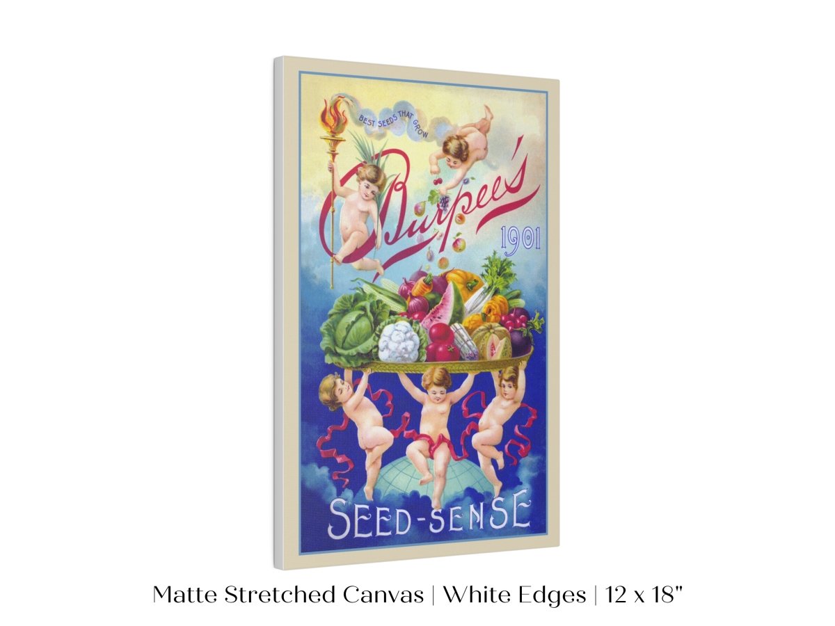 Burpee's Seed Sense | P504 - Single Art Prints - Piccolo Fiore Prints