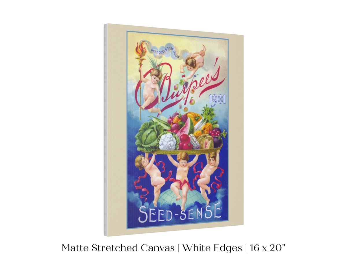 Burpee's Seed Sense | P504 - Single Art Prints - Piccolo Fiore Prints