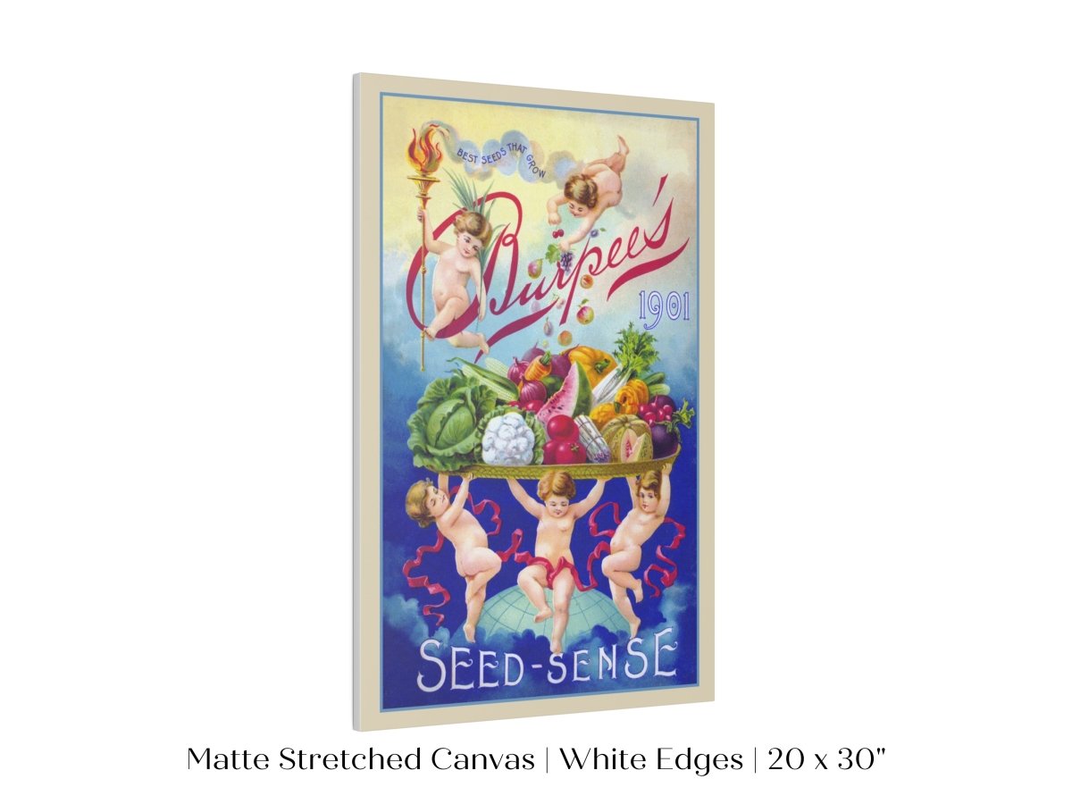 Burpee's Seed Sense | P504 - Single Art Prints - Piccolo Fiore Prints