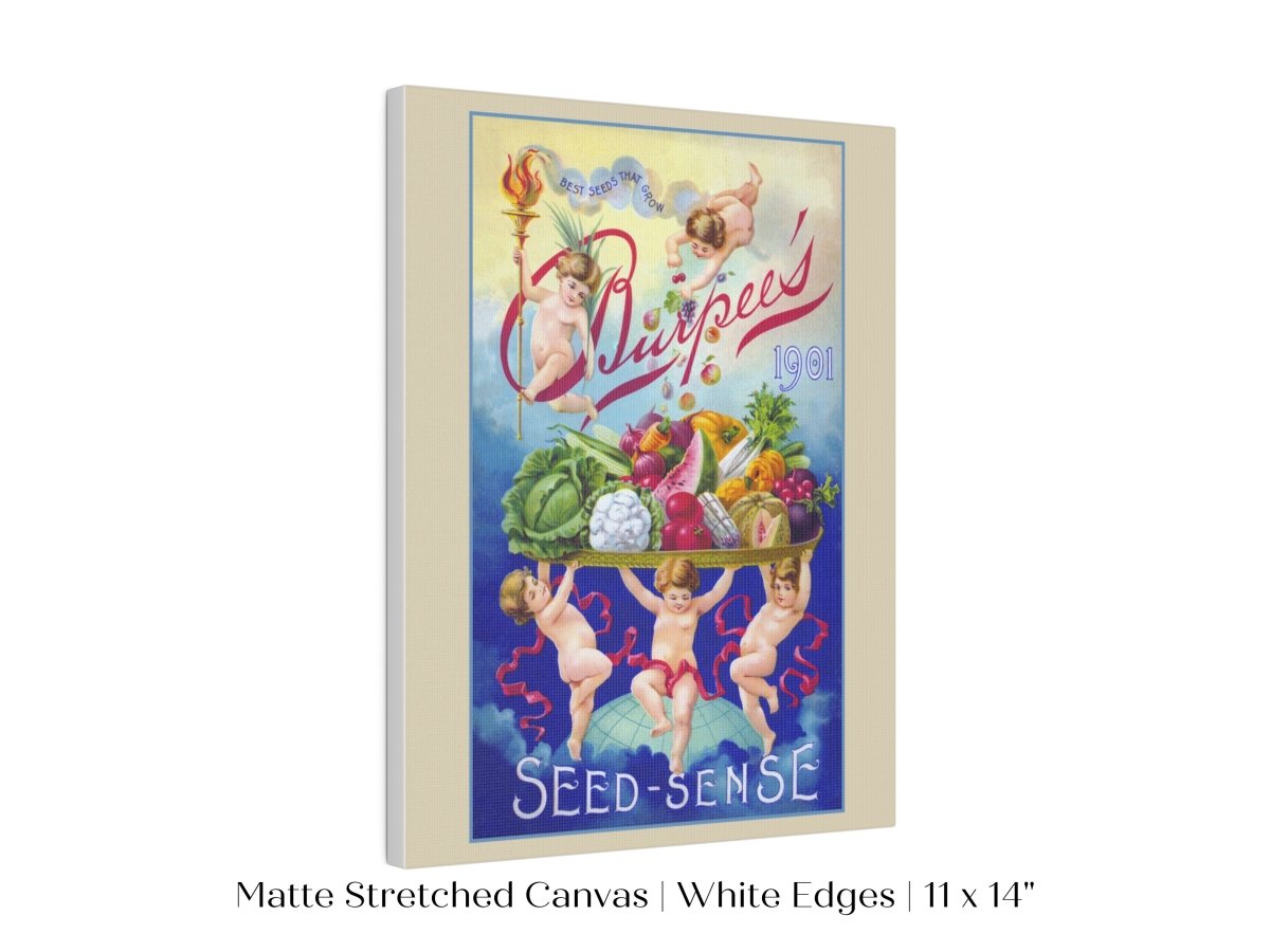 Burpee's Seed Sense | P504 - Single Art Prints - Piccolo Fiore Prints