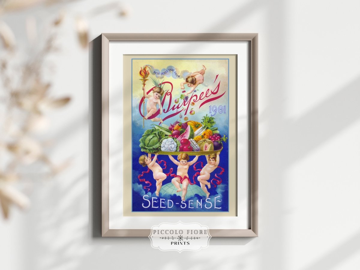 Burpee's Seed Sense | P504 - Single Art Prints - Piccolo Fiore Prints