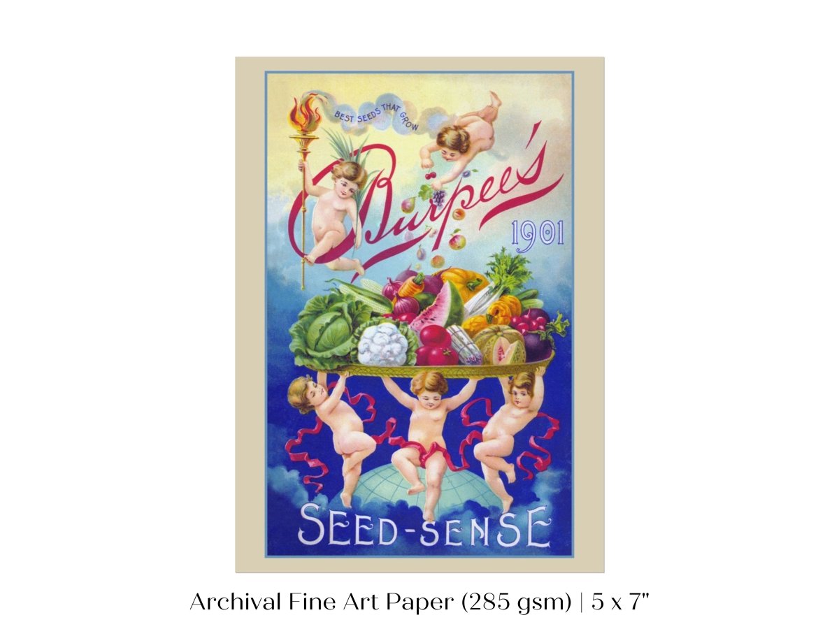Burpee's Seed Sense | P504 - Single Art Prints - Piccolo Fiore Prints