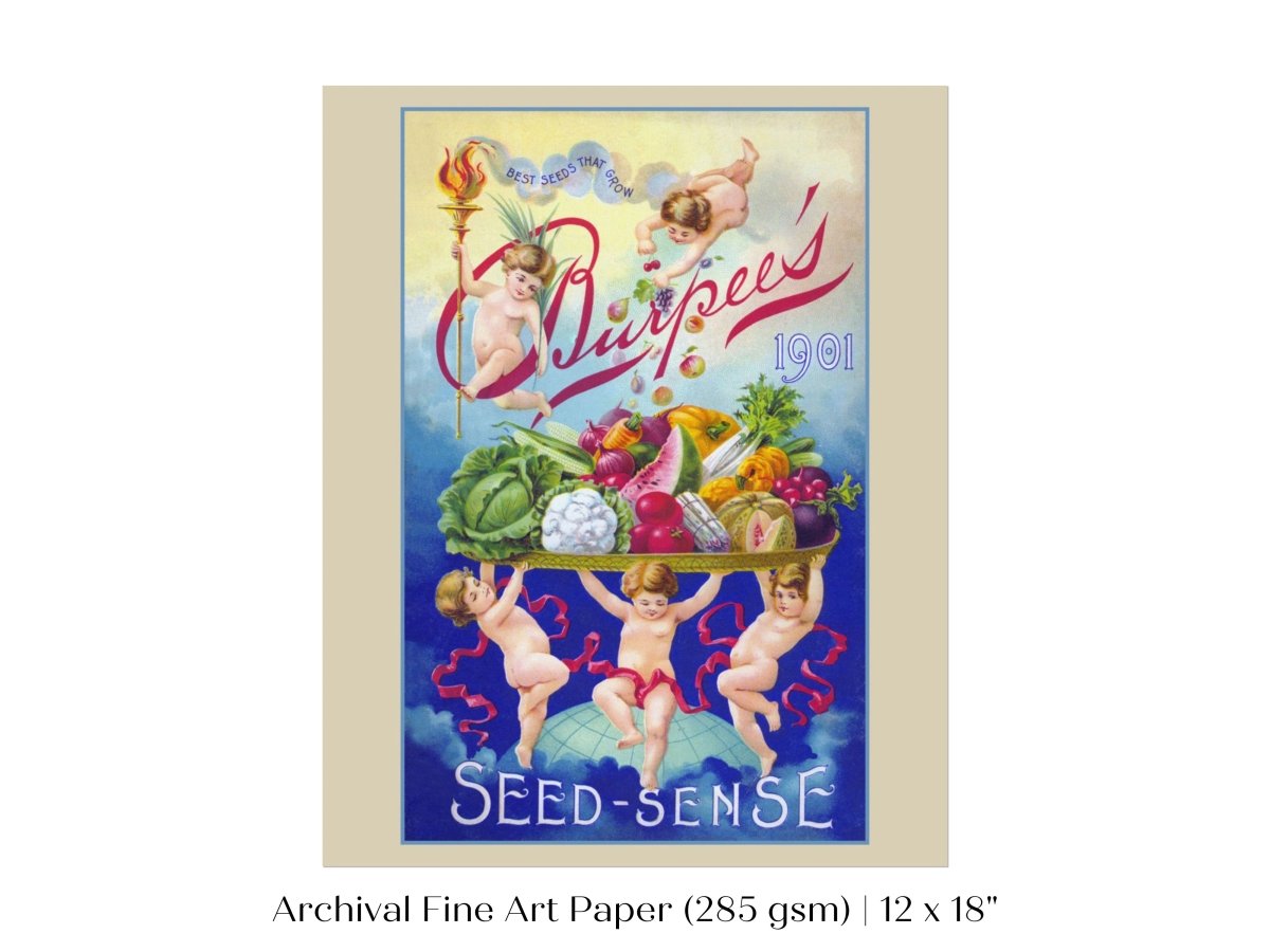 Burpee's Seed Sense | P504 - Single Art Prints - Piccolo Fiore Prints