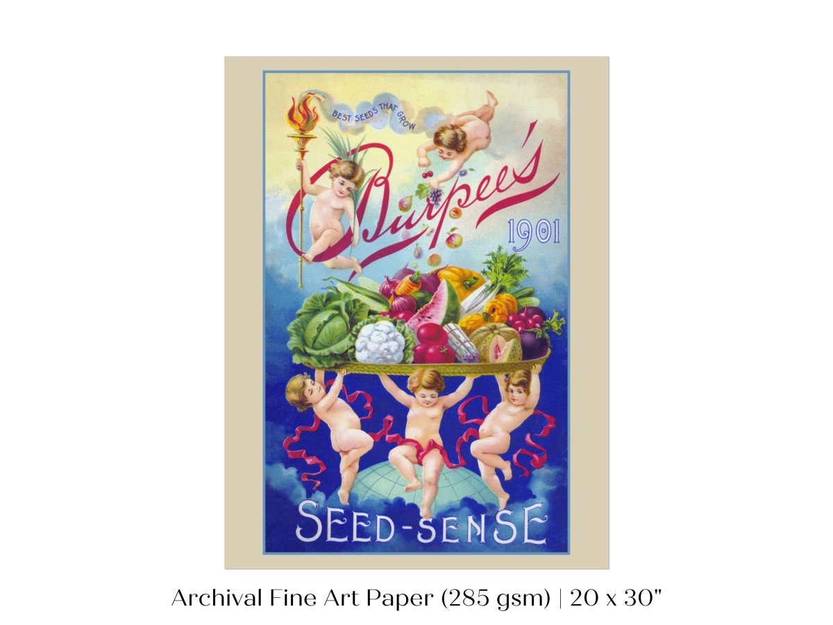 Burpee's Seed Sense | P504 - Single Art Prints - Piccolo Fiore Prints