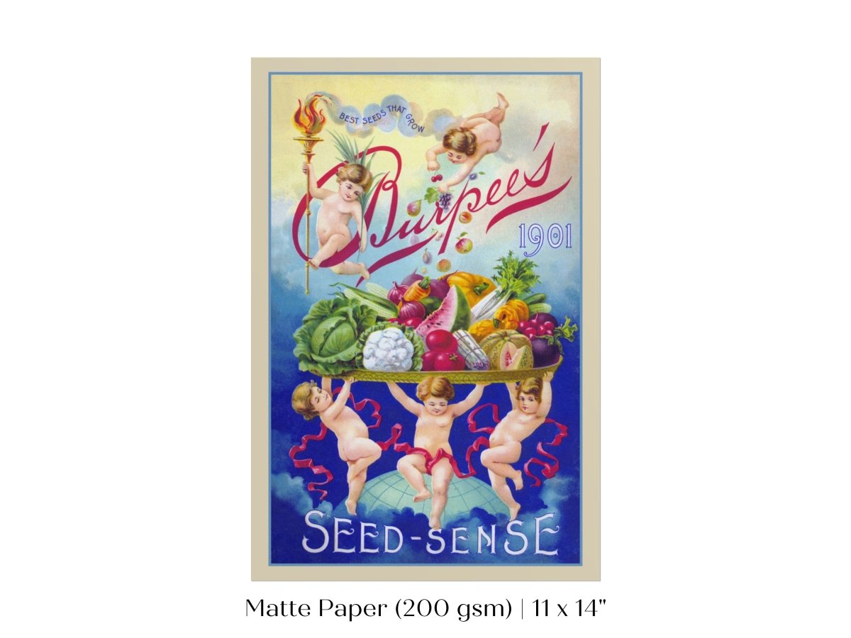 Burpee's Seed Sense | P504 - Single Art Prints - Piccolo Fiore Prints