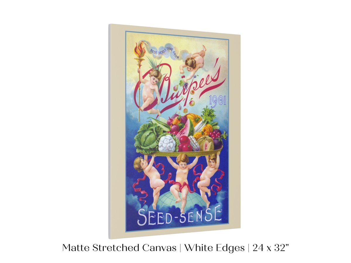 Burpee's Seed Sense | P504 - Single Art Prints - Piccolo Fiore Prints