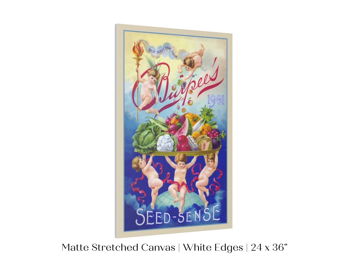 Burpee's Seed Sense | P504 - Single Art Prints - Piccolo Fiore Prints