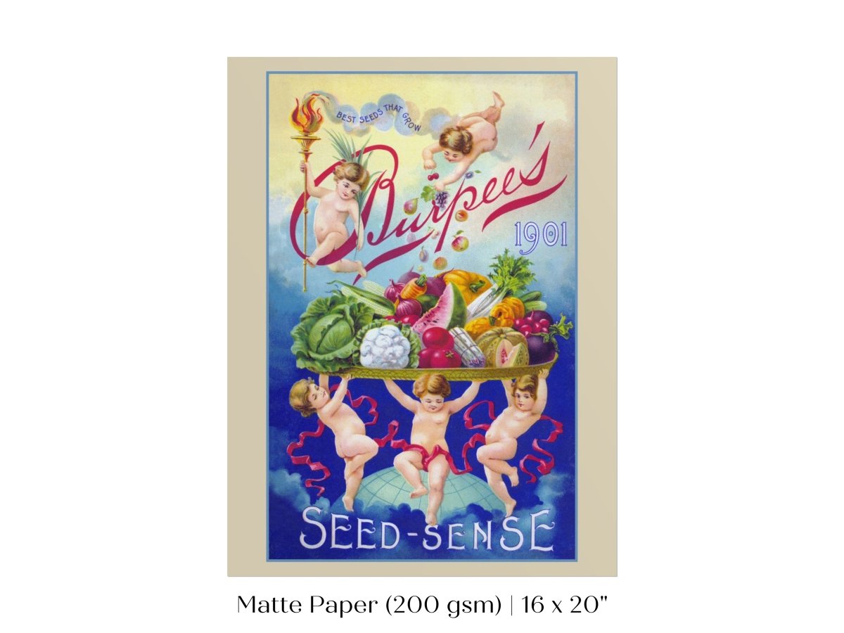 Burpee's Seed Sense | P504 - Single Art Prints - Piccolo Fiore Prints