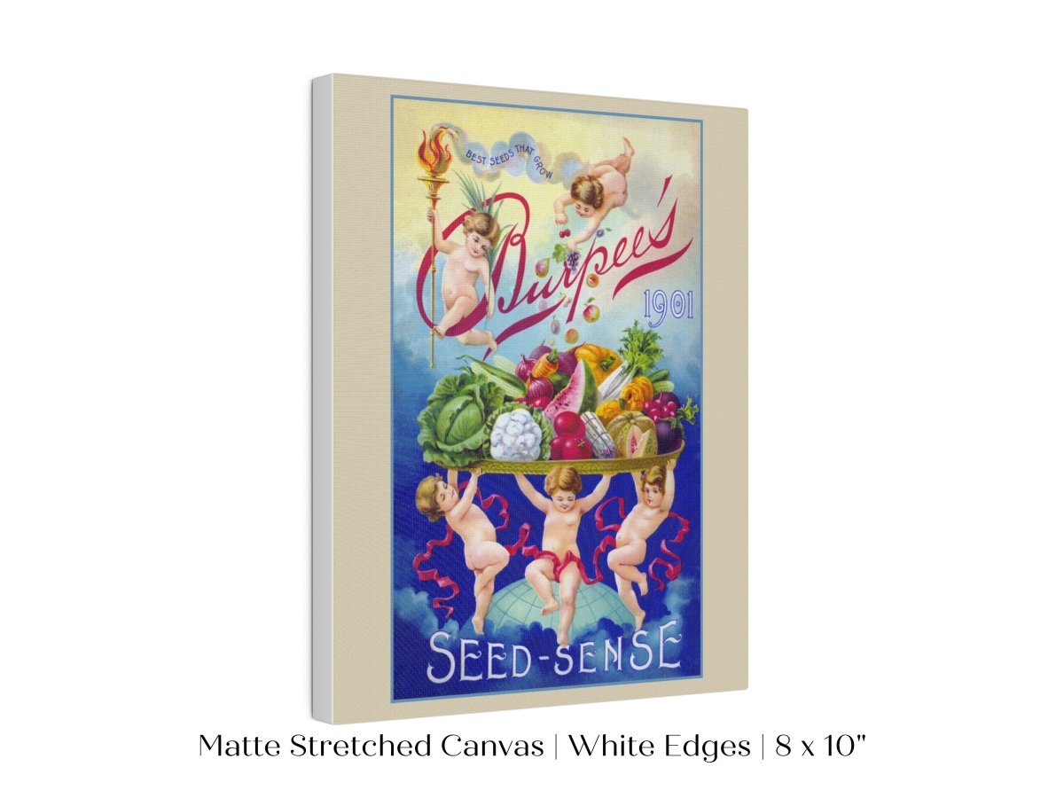 Burpee's Seed Sense | P504 - Single Art Prints - Piccolo Fiore Prints