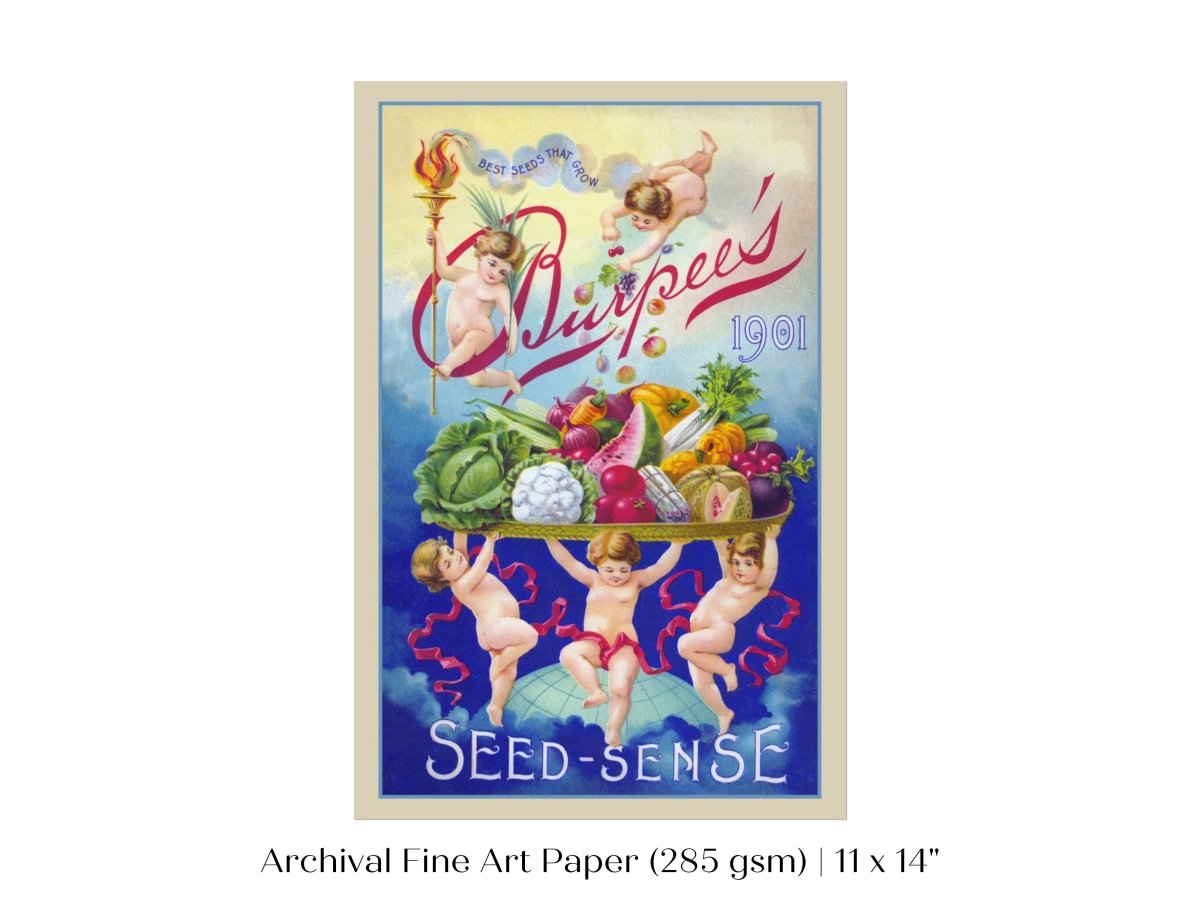 Burpee's Seed Sense | P504 - Single Art Prints - Piccolo Fiore Prints