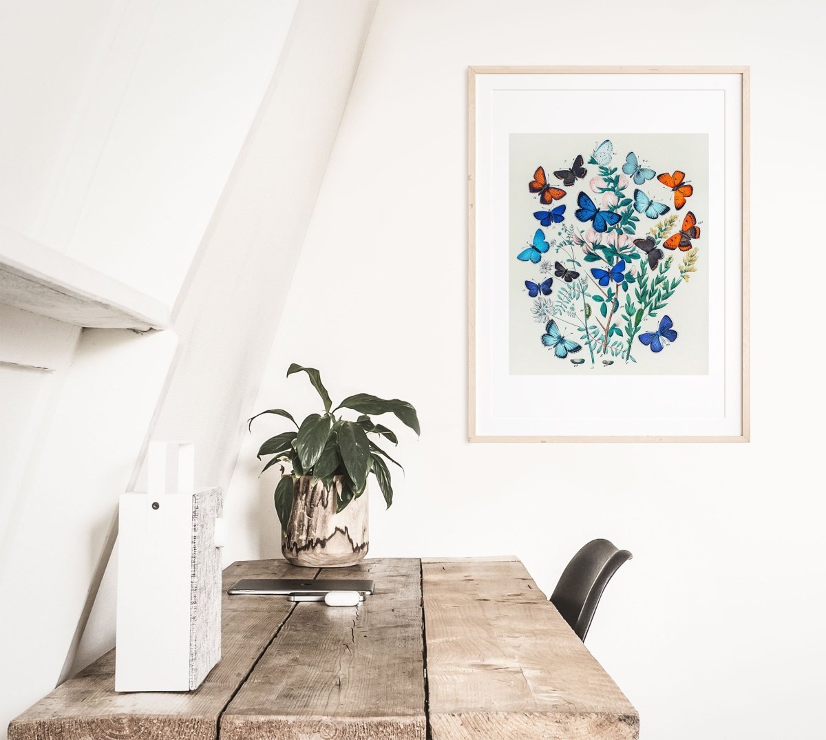 Butterflies and Caterpillars | P101 - Single Art Prints - Piccolo Fiore Prints