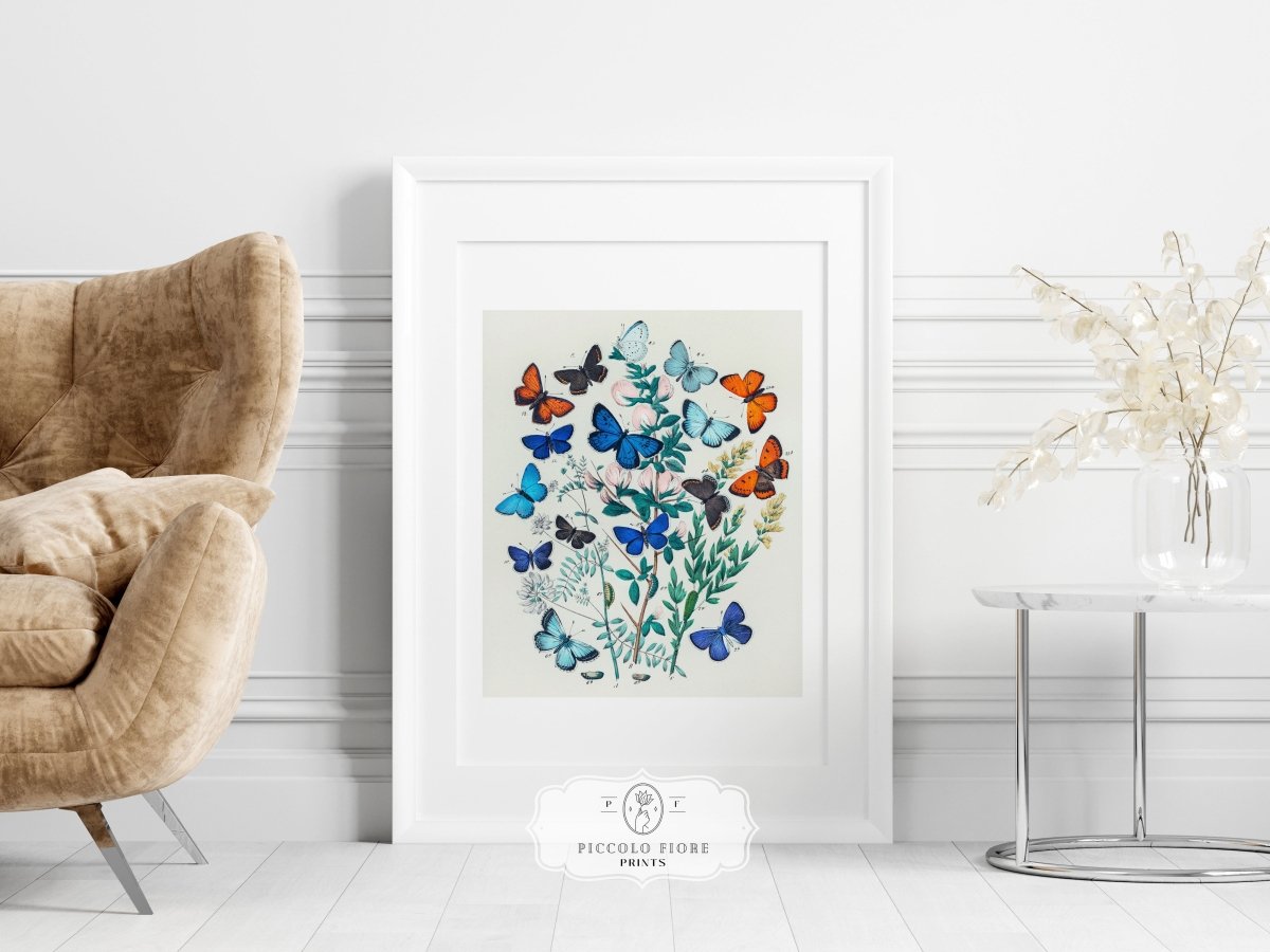 Butterflies and Caterpillars | P101 - Single Art Prints - Piccolo Fiore Prints