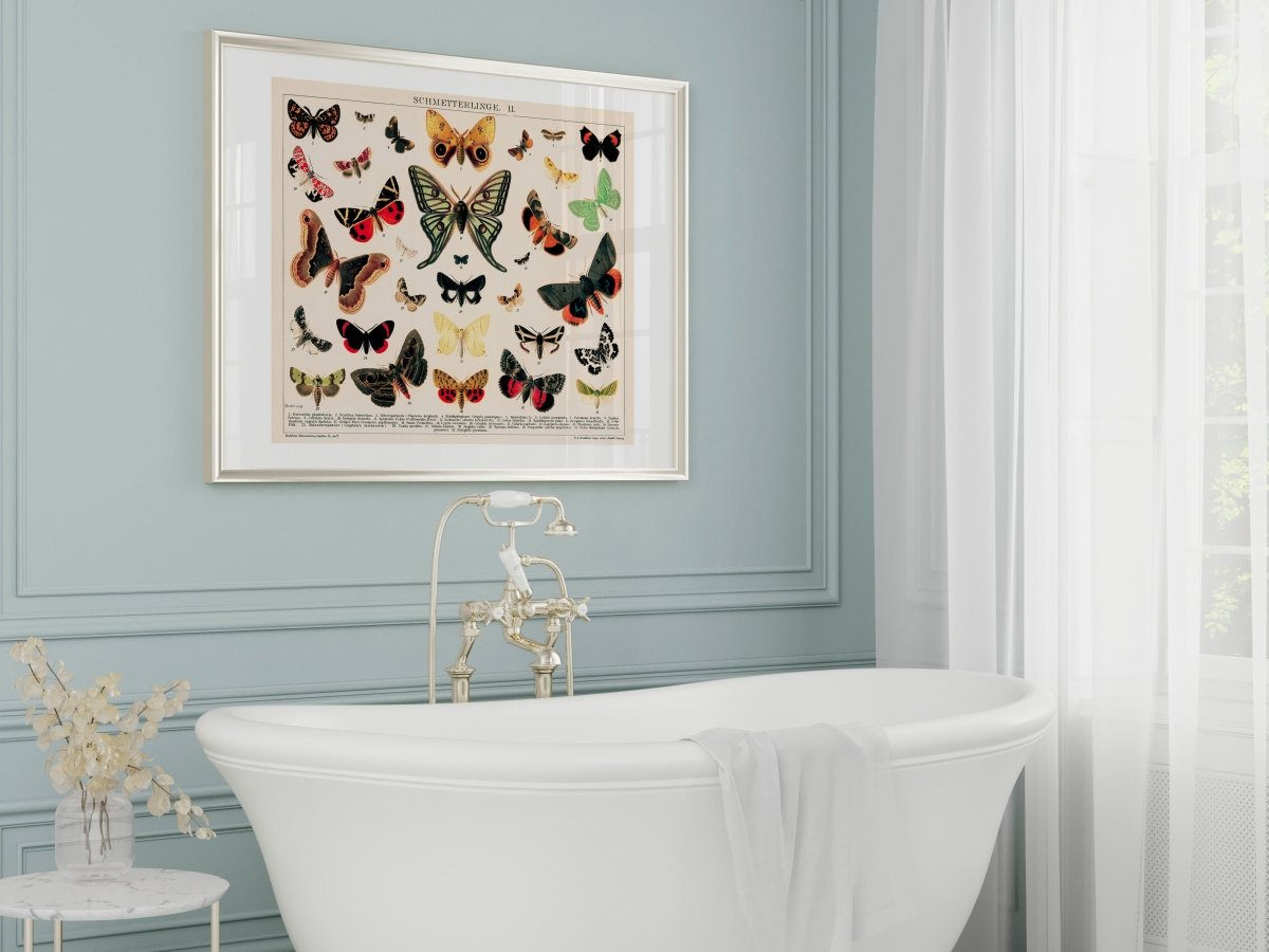 Butterflies and Moths Illustration | P81 - Single Art Prints - Piccolo Fiore Prints