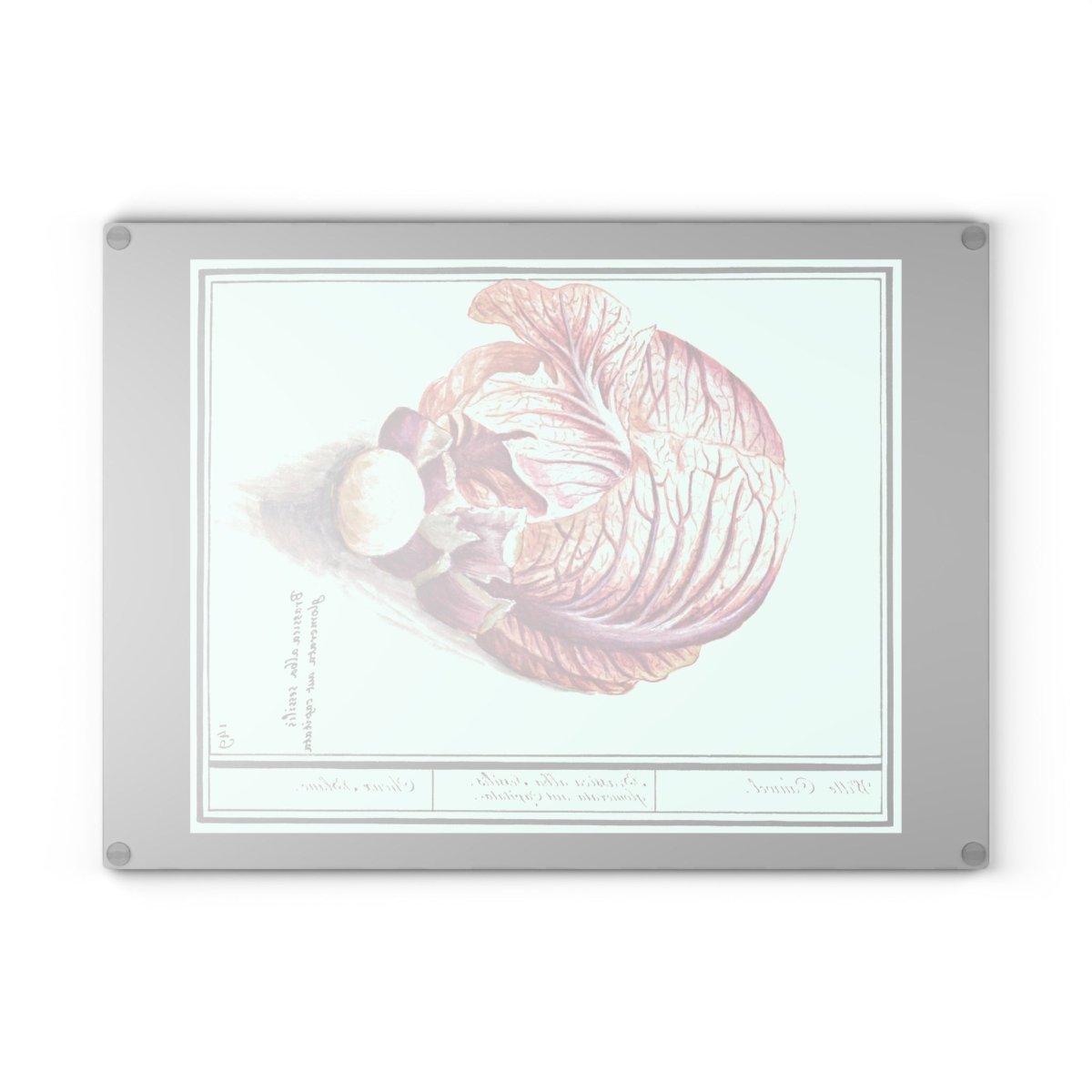 Cabbage | Glass Chopping Board - Glass Chopping Board - Piccolo Fiore Prints