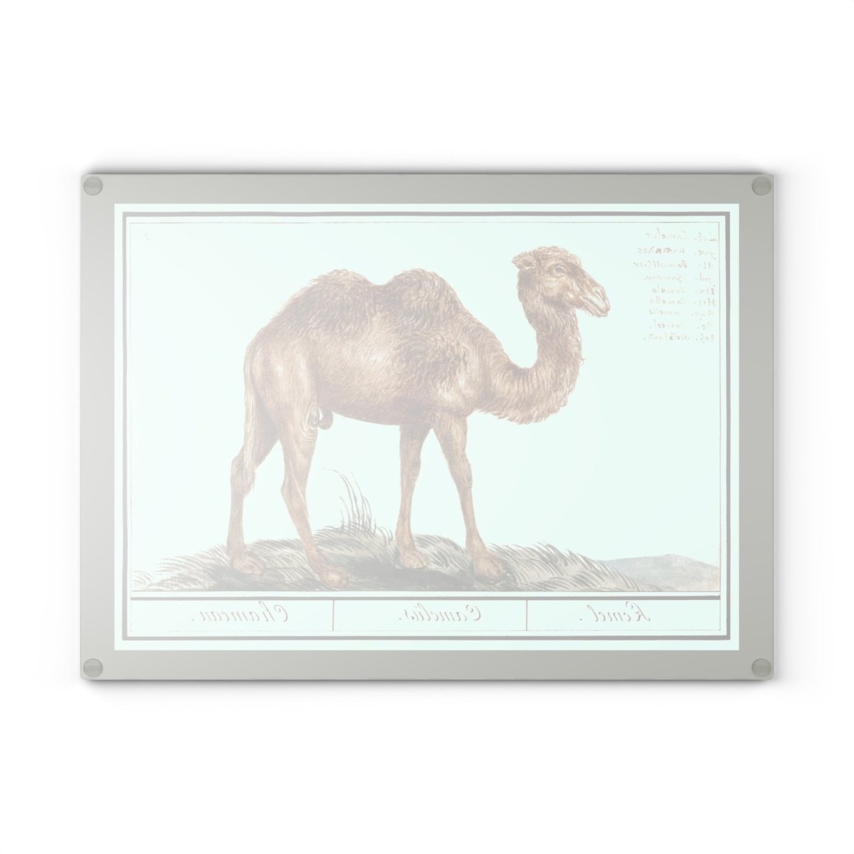 Camel | Glass Chopping Board - Glass Chopping Board - Piccolo Fiore Prints