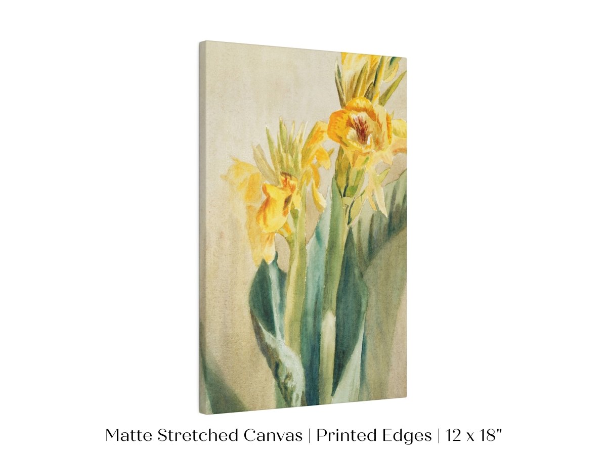 Cana Lily | P61 - Single Art Prints - Piccolo Fiore Prints