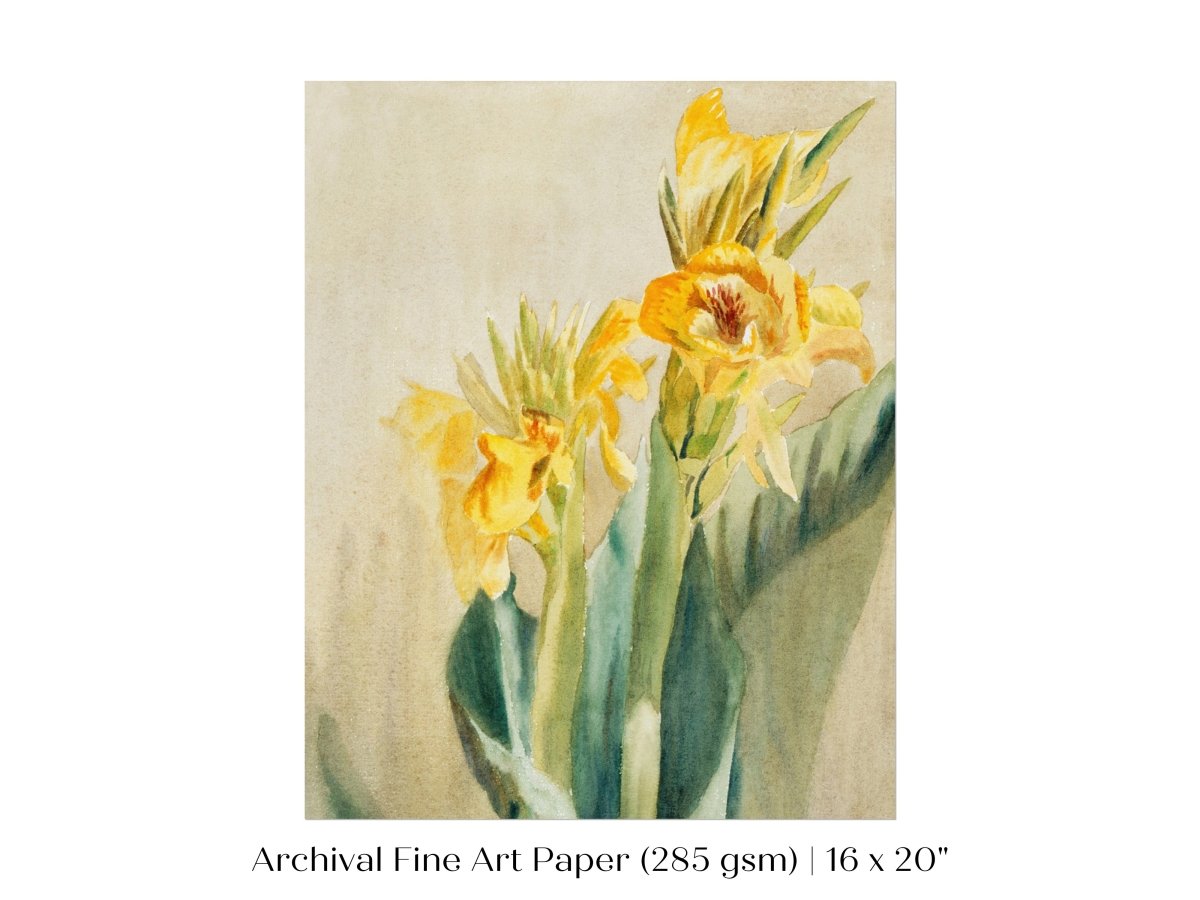 Cana Lily | P61 - Single Art Prints - Piccolo Fiore Prints