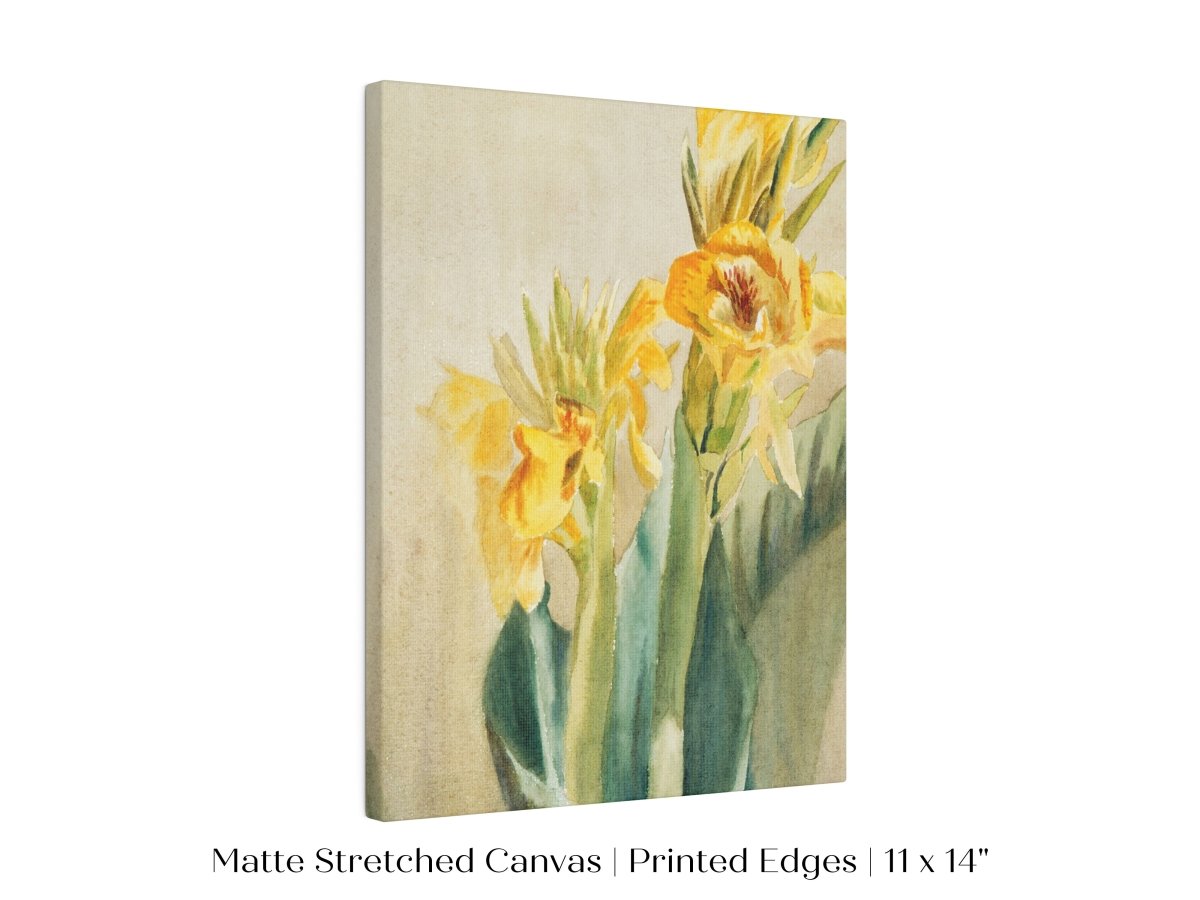 Cana Lily | P61 - Single Art Prints - Piccolo Fiore Prints