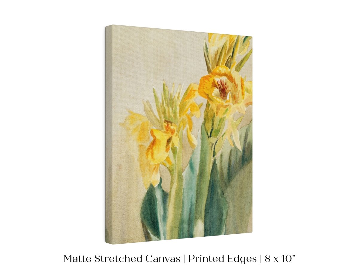 Cana Lily | P61 - Single Art Prints - Piccolo Fiore Prints
