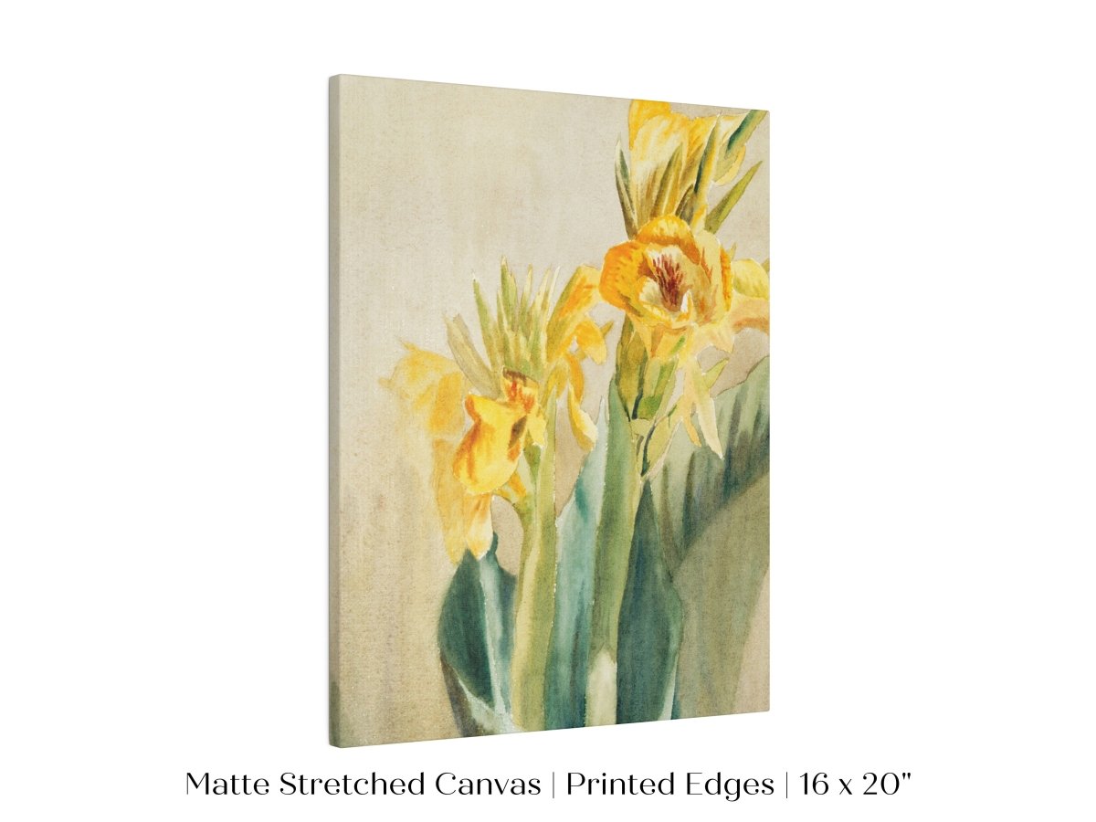 Cana Lily | P61 - Single Art Prints - Piccolo Fiore Prints