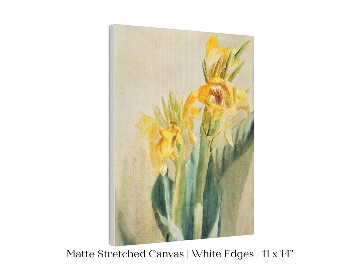 Cana Lily | P61 - Single Art Prints - Piccolo Fiore Prints