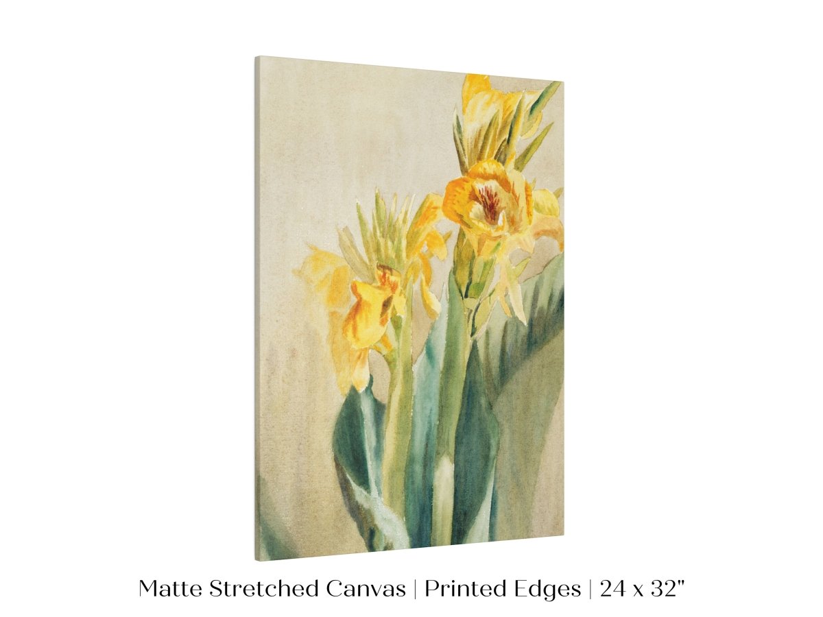Cana Lily | P61 - Single Art Prints - Piccolo Fiore Prints