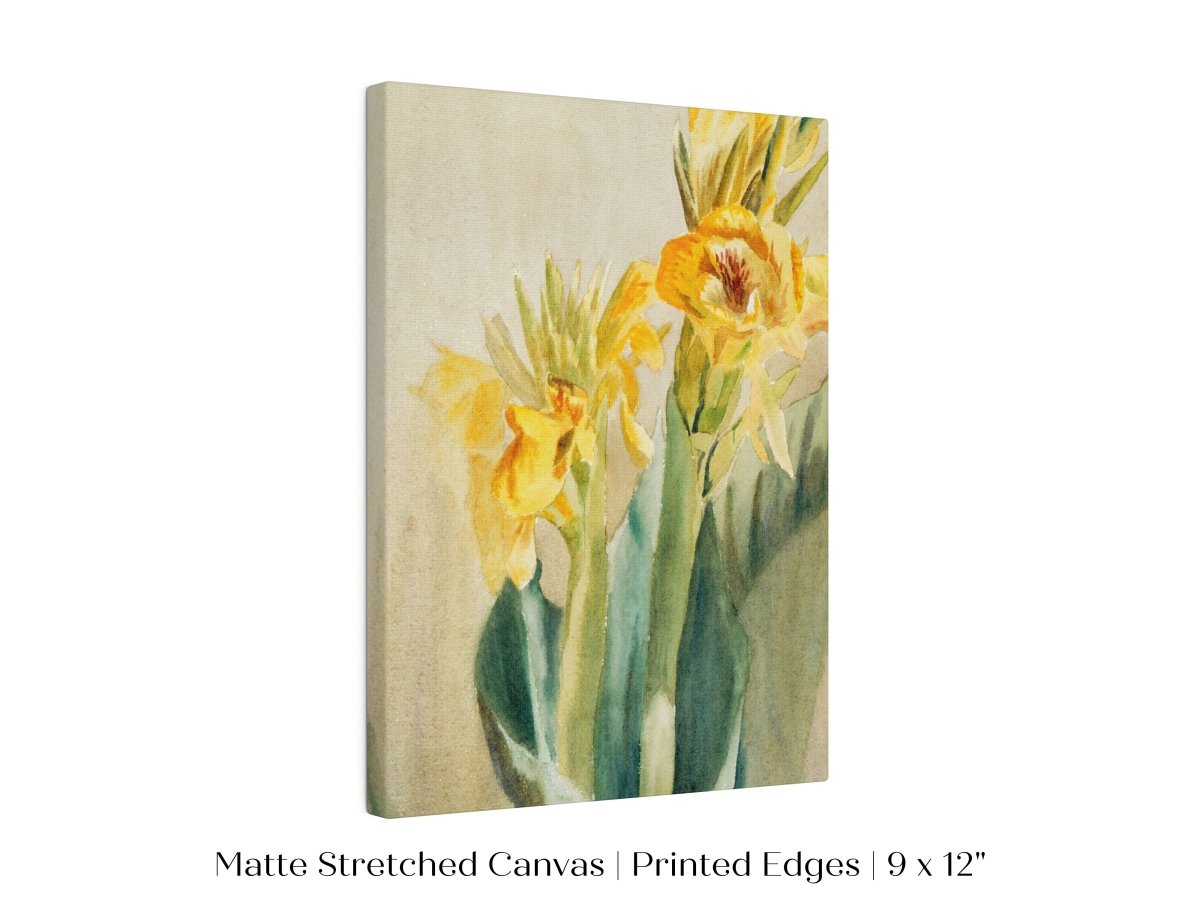 Cana Lily | P61 - Single Art Prints - Piccolo Fiore Prints