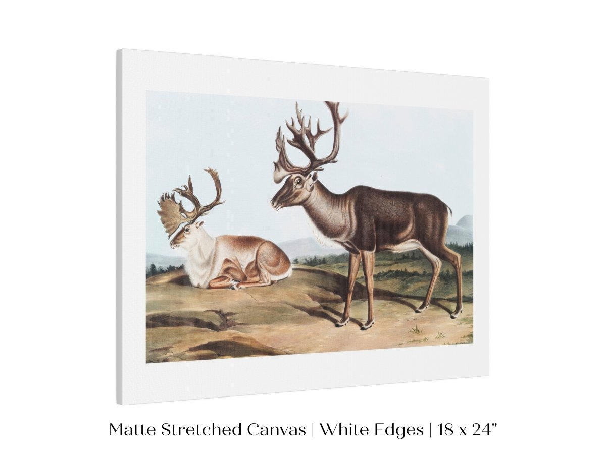 Caribou | P65 - Single Art Prints - Piccolo Fiore Prints
