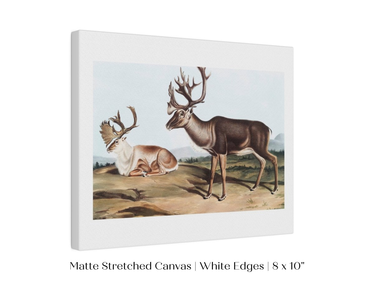 Caribou | P65 - Single Art Prints - Piccolo Fiore Prints