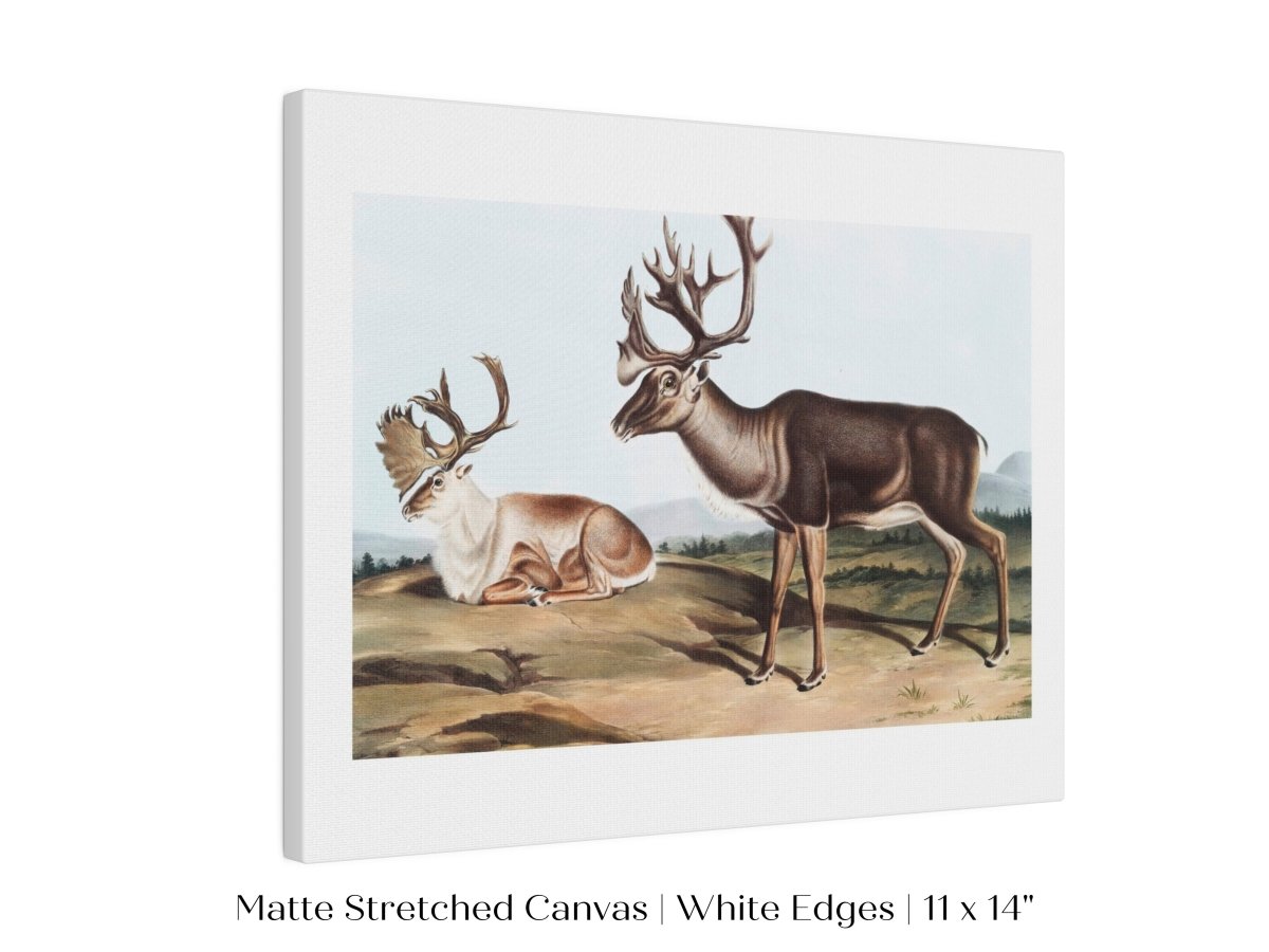 Caribou | P65 - Single Art Prints - Piccolo Fiore Prints