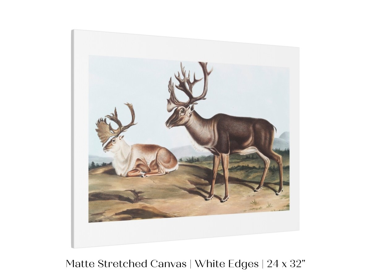 Caribou | P65 - Single Art Prints - Piccolo Fiore Prints