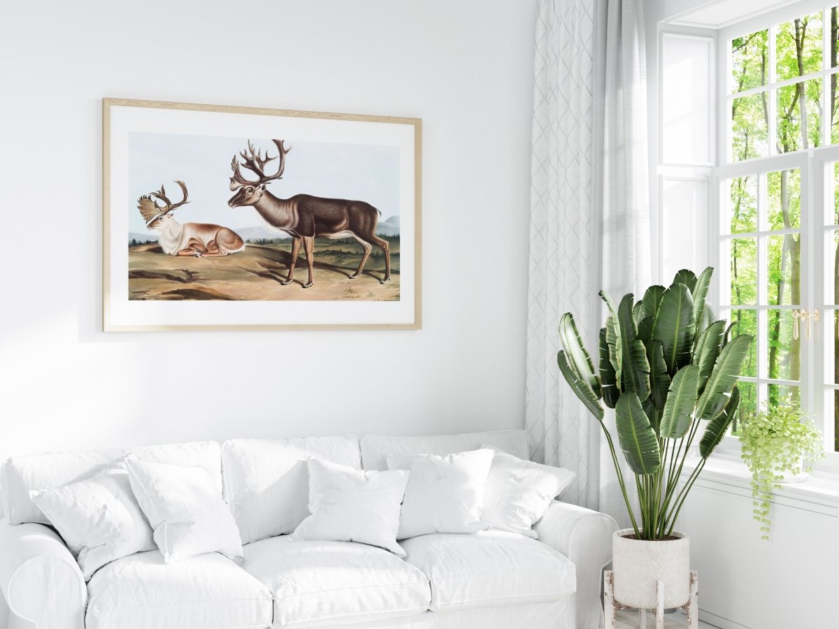 Caribou | P65 - Single Art Prints - Piccolo Fiore Prints