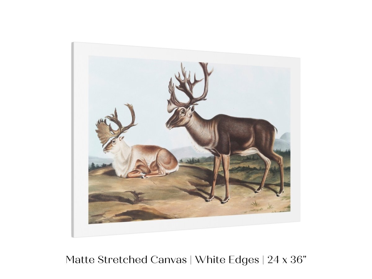 Caribou | P65 - Single Art Prints - Piccolo Fiore Prints
