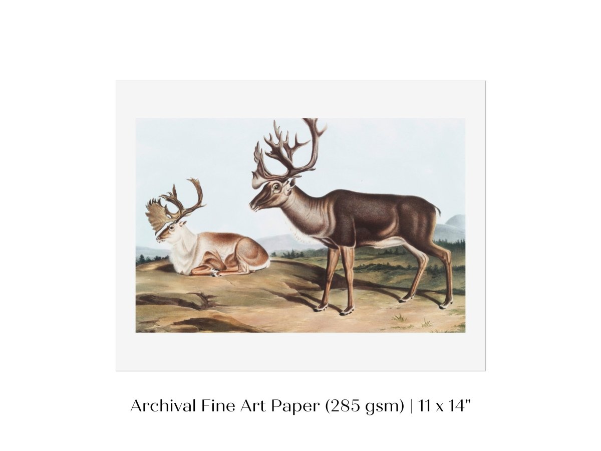 Caribou | P65 - Single Art Prints - Piccolo Fiore Prints