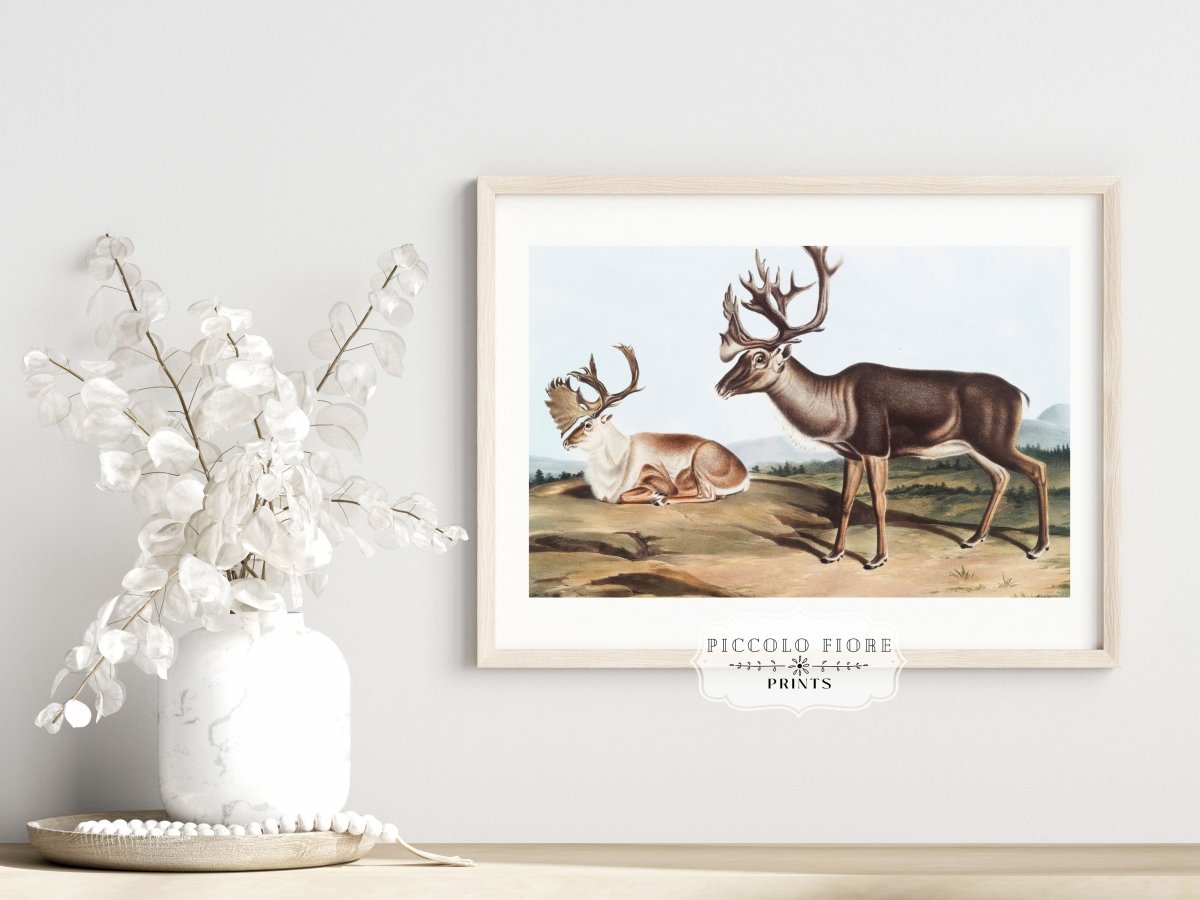 Caribou | P65 - Single Art Prints - Piccolo Fiore Prints