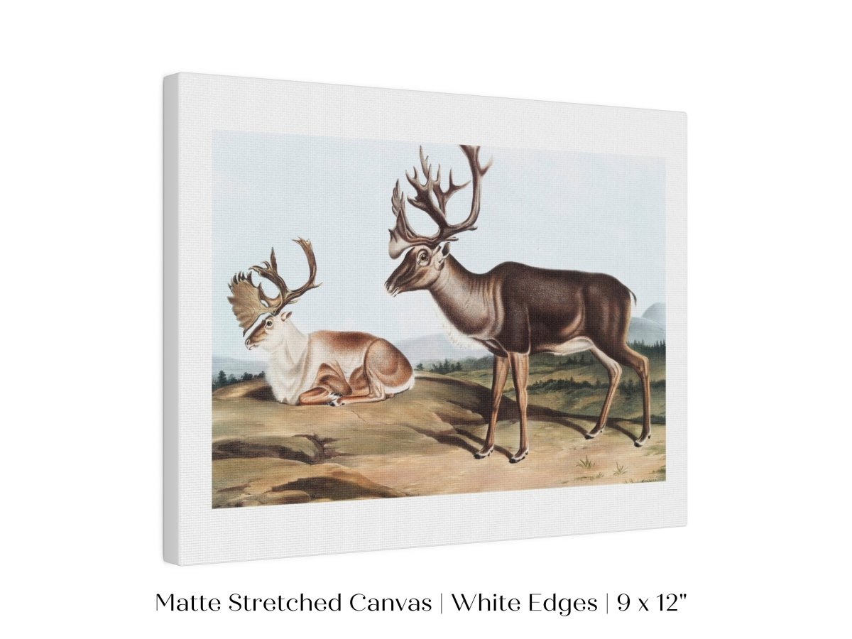 Caribou | P65 - Single Art Prints - Piccolo Fiore Prints