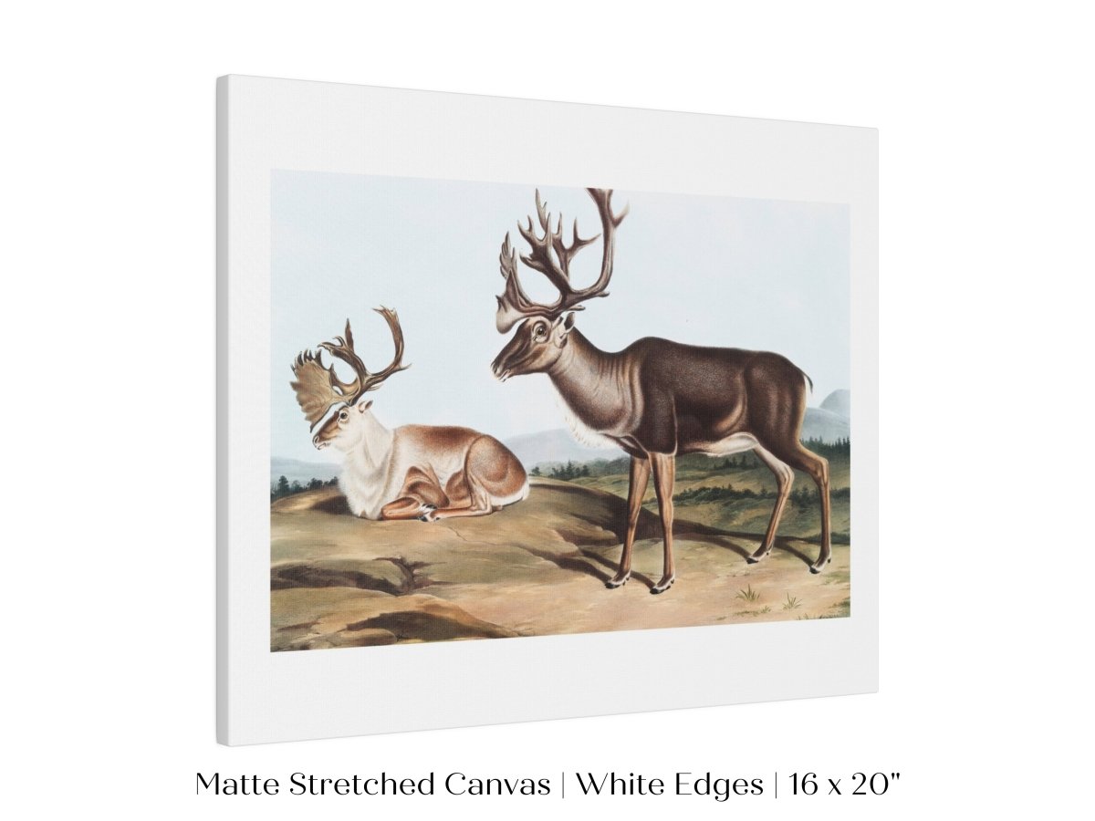 Caribou | P65 - Single Art Prints - Piccolo Fiore Prints