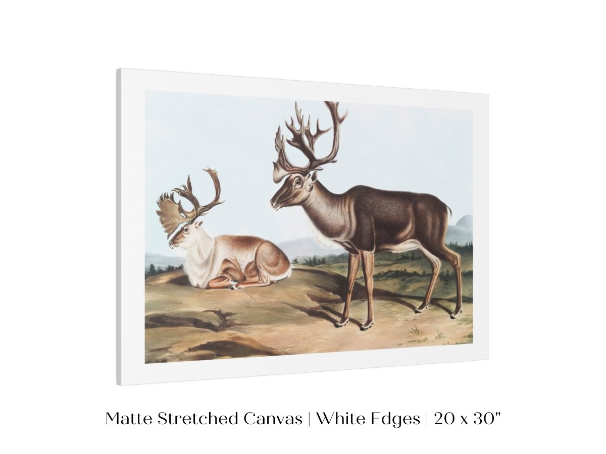 Caribou | P65 - Single Art Prints - Piccolo Fiore Prints
