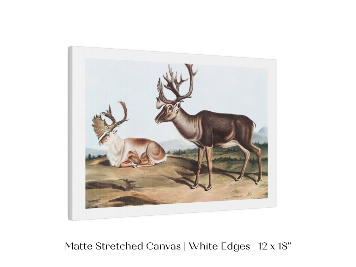 Caribou | P65 - Single Art Prints - Piccolo Fiore Prints
