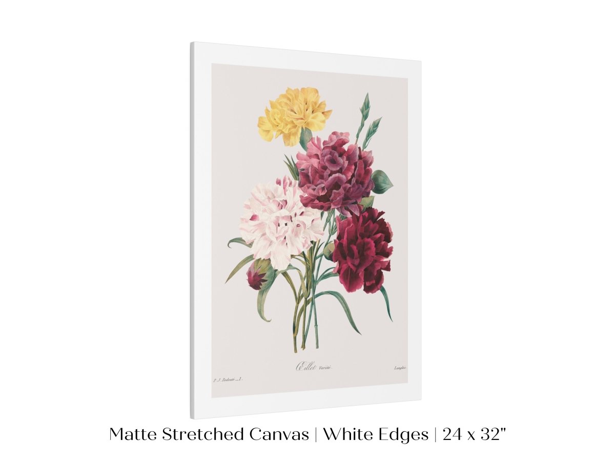 Carnations | P493 - Single Art Prints - Piccolo Fiore Prints