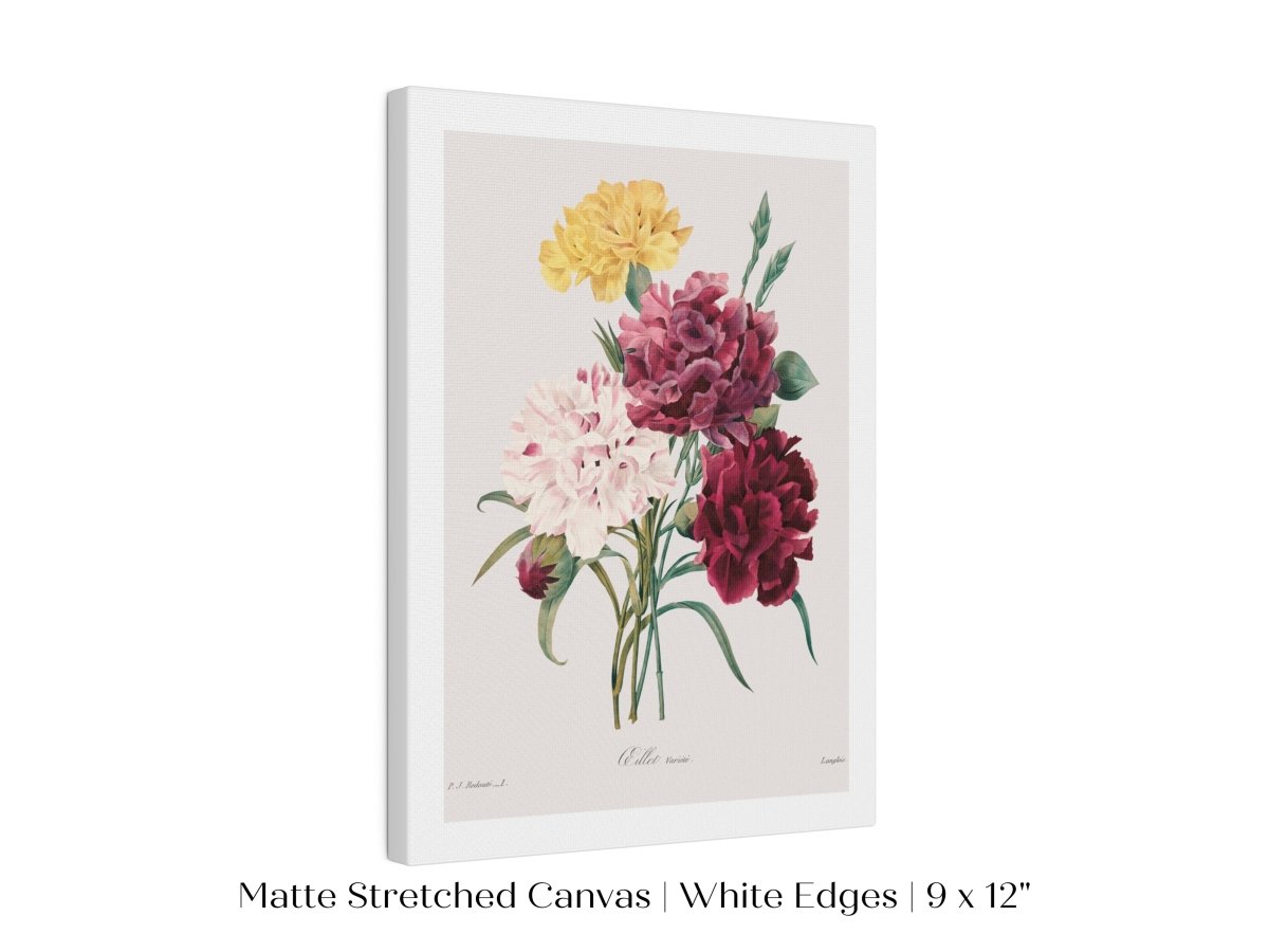 Carnations | P493 - Single Art Prints - Piccolo Fiore Prints