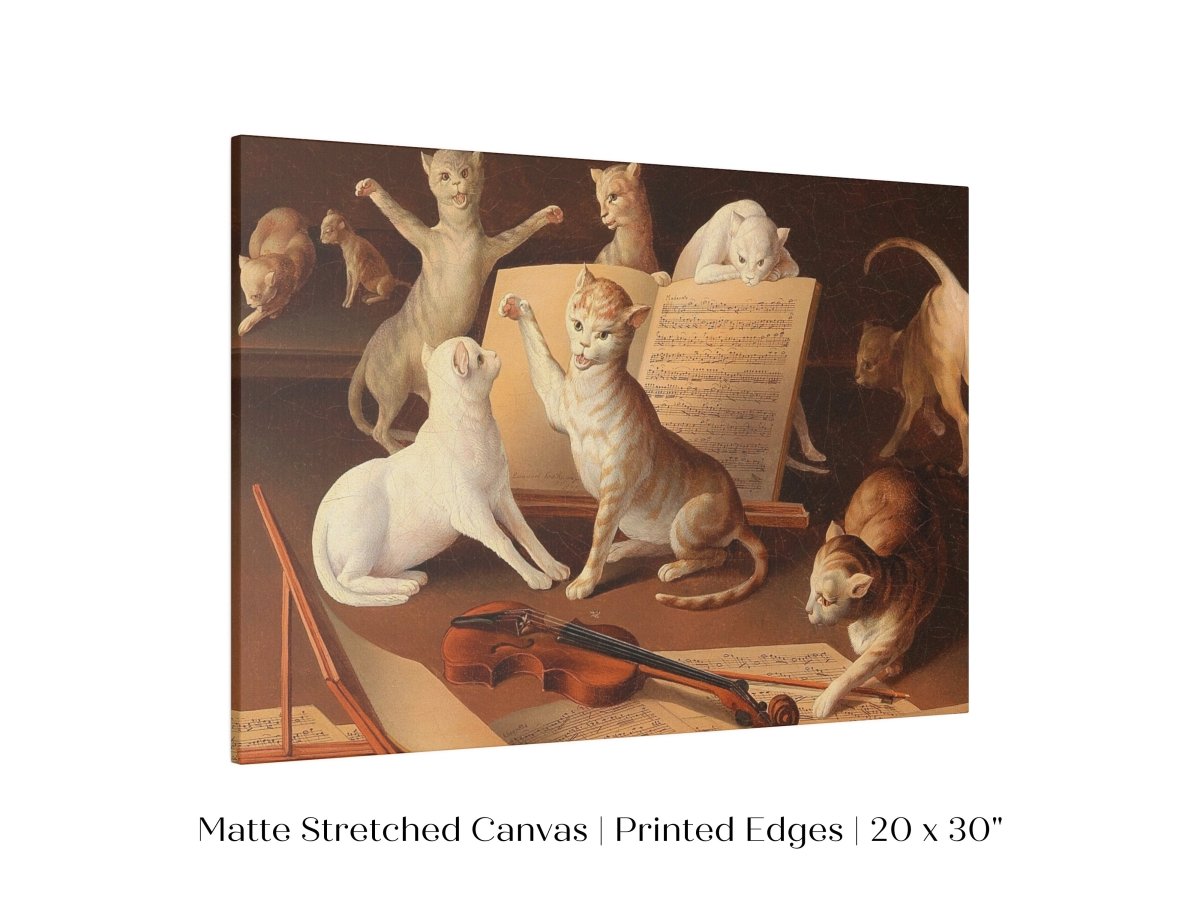 Cat Concert | P481 - Single Art Prints - Piccolo Fiore Prints